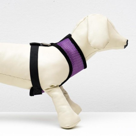 Soft hollow made of neoprene, size S, Osh 24 cm, fire 24-34 cm, purple-2