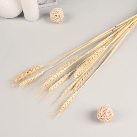 Sukhotzet decor "rye" (set 10 pcs) 60 cm, beige