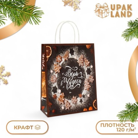 New Year. Package Paper Gift New Year craft "Miracles" 32 x 26 x 11 cm.