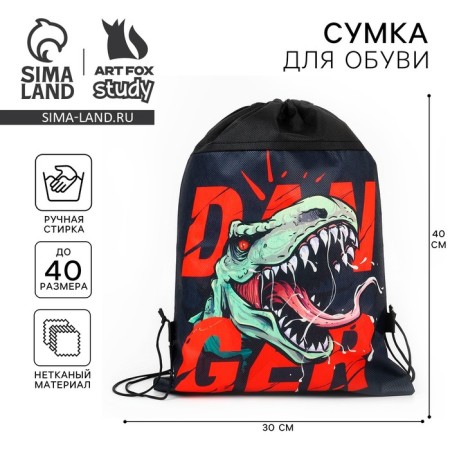 Dinosaur shoe bag non -discharge canvas, size 30 x 40 cm