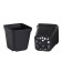 Pot for seedlings, 150 ml, d = 6.5 x 6.5 x 5.5 cm, (packaging 20 pcs.) Greengo