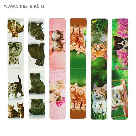 A set of magnetic bookmarks 6 pieces "kittens", assorted-2