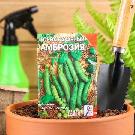 Seed peas "Ambrosia Sugar", 10 g