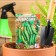Seed peas "Ambrosia Sugar", 10 g