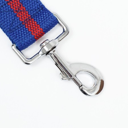 Leash 5 m x 4 cm, blue-red-1