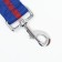 Leash 5 m x 4 cm, blue-red