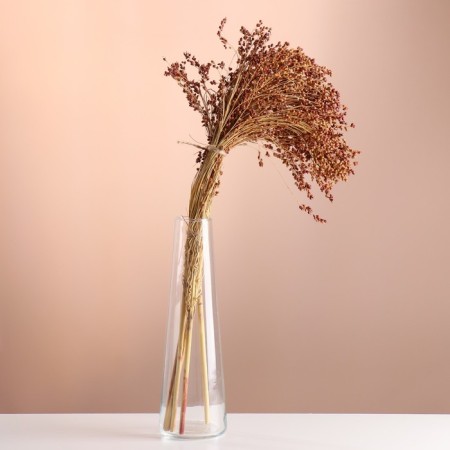 A set of dried flowers "sorghum", banch 3-5 pcs, length 60 (+/- 6 cm), natural