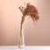 A set of dried flowers "sorghum", banch 3-5 pcs, length 60 (+/- 6 cm), natural