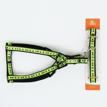 Set "Bones and Paws" reflective, leash 120 x 1.5 cm, OG 36-52 cm, blue-6