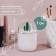 Organizer for storage "Cactus", with a lid, D - 7 × 11 cm, white/transparent color
