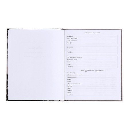 Diary for a music school, 48 sheets, hard cover, matte lamination, selective varnish, with reference information, block 60g/m2-4