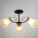 Economic chandelier flowering 3x40W E27, black 60x60x21 cm