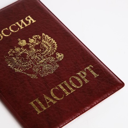 Cover for passport, burgundy color-4