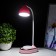 Teddy desktop LED 3W AKB USB Pink 9x13.5x40 cm Risalux