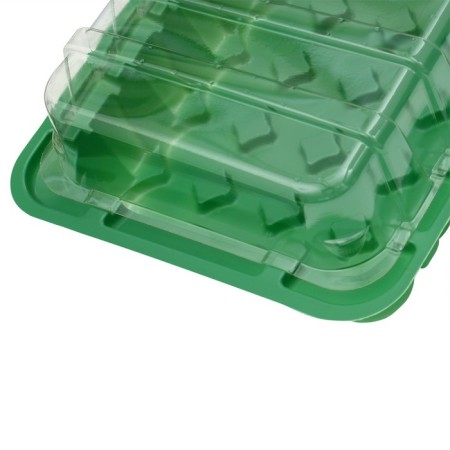 Mini-Piratery for seedlings, 24 × 17 × 5 cm, 24 cells for seedlings d = 3 cm, Greengo-3