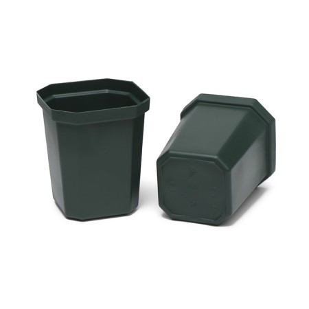 Set for seedlings: glasses of 300 ml (10 pcs), pan 41 × 17 cm, color mix-8