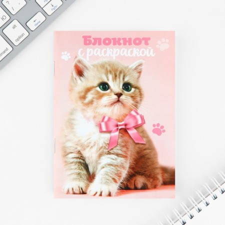 Set of notebook A6, 32 sheets, stickers, magnetic bookmarks "Cute kitten"-5