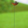 Plug "butterfly Delfius 25cm, set 6pcs, mix