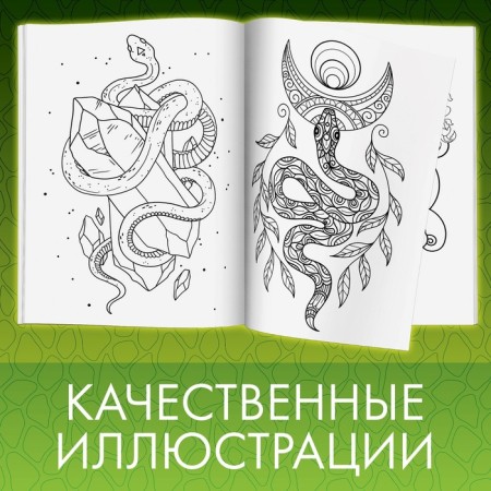 Coloring "Beautiful and dangerous snakes", 20 × 28, 32 coloring, A4 format-3