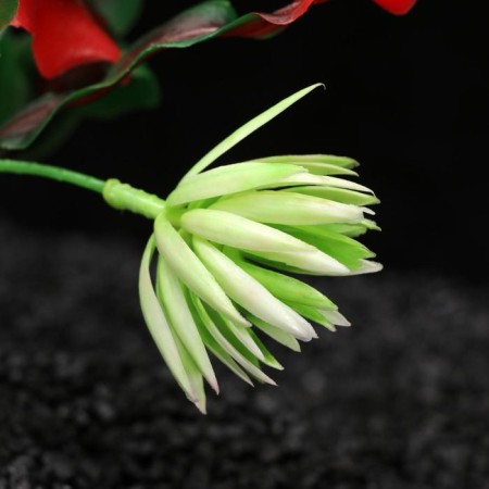 A set of artificial plants for the aquarium (2 pcs), 20 cm-2