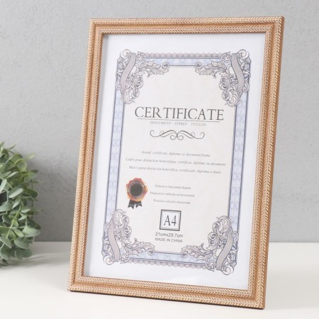 Photo frame Plastic format A4 "Double Spit" wheat 23.4x32.1x1.1 cm-1