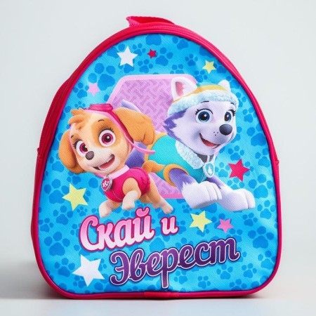 Baby backpack, 23x21x10 cm, puppy patrol-3