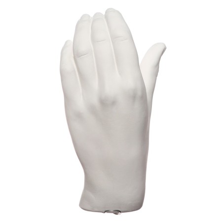 Gypsum figure anatomical details: "Women's brush" 18.5 cm-3