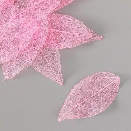 Leaves skeletered for creativity "pink" set 20 pcs h = 6-6.5 cm-1