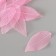 Leaves skeletered for creativity "pink" set 20 pcs h = 6-6.5 cm