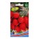 Seeds Radis "Novicred", 2 g