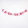 Garland “Happy Birthday!”, Princess, paper