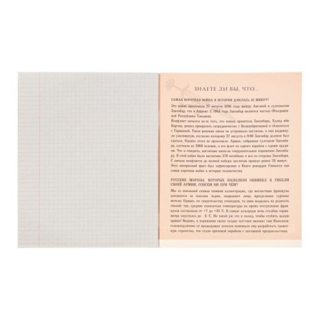 Substantial notebook calligrata "3D", 48 sheets in the cell history, with reference material, cover shaking cardboard, block No. 2, whiteness 75% (gray sheets)-2