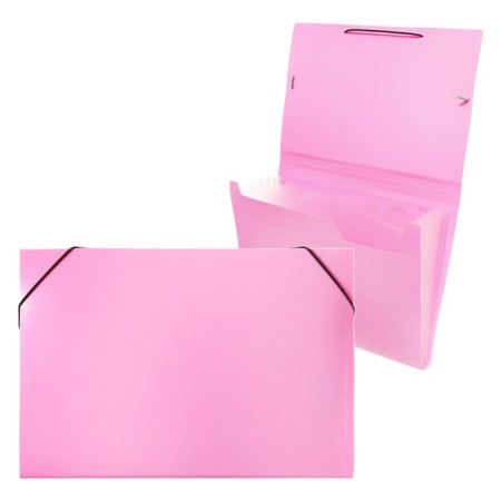 Folder Carder Calligrata watercolor 6 department. A4 plastic 0.7mm flamingos, black resident