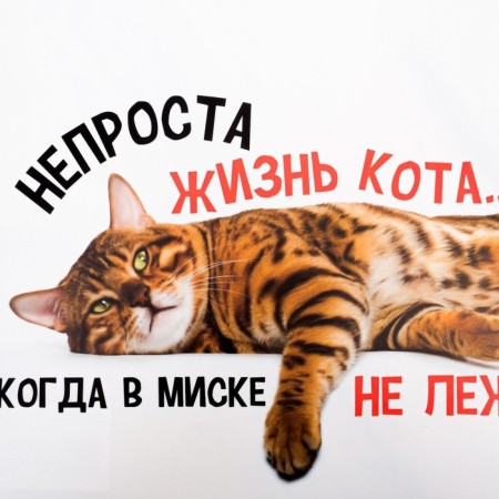 Rug for a bowl “Not a simple cat’s life”, 43x28 ​​cm-4