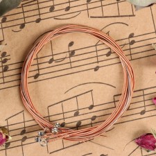 Strings for the acoustic guitar of Music Life 6 pcs, copper braid