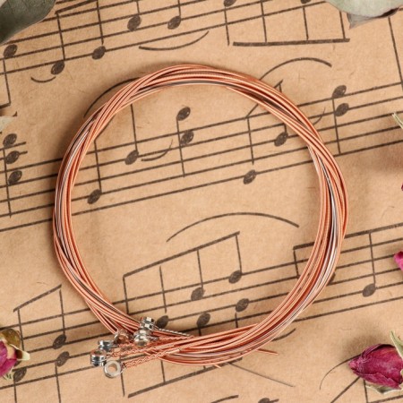 Strings for the acoustic guitar of Music Life 6 pcs, copper braid