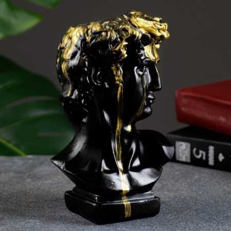 Kashpo - organizer "Bust of David" black, 17x9x10cm-2