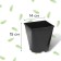 Pot for seedlings, 2 l, d = 14 cm, h = 15 cm, black, greengo