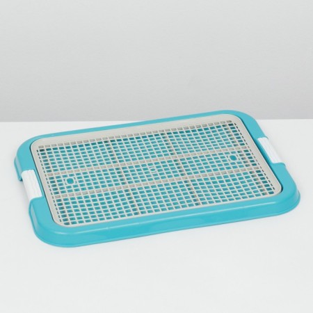 Dog toilet, 51 x 38 x 3 cm, blue-2