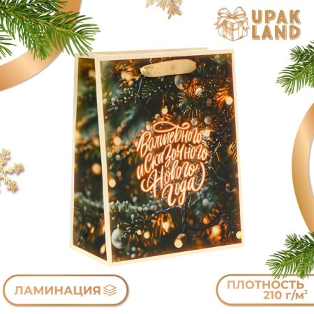 Laminated Packet "Magic and Fairytale New Year", MS 18 × 23 × 10 cm