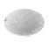 Lamp Oasis 1x60W E27 25x25x4.5cm