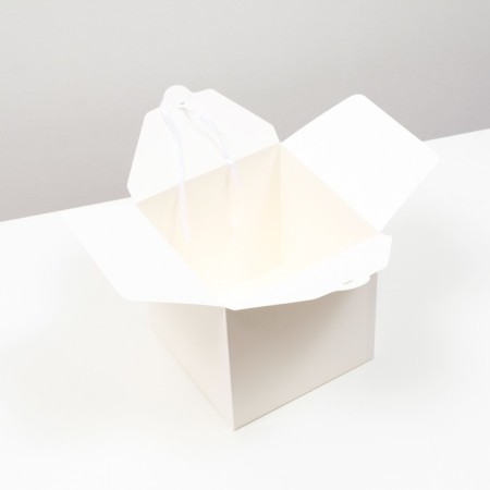 White folding box, 21 x 21 x 21 cm-2