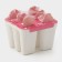 Form for ice cream "Nega", 6 cells, color mix