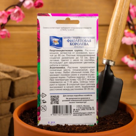 Seeds of Tsinnia flowers Georgin. "Violet Queen", 0.3 gr-3