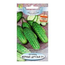 Cucumber seeds Faithful friends, F1, 12pcs