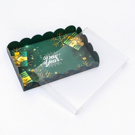 Bearbox "New Year Emerald", 22 x 15 x 3 cm-5