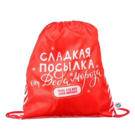 New Year. Bag for sweets 290 x 340 mm, "Sweet Parcel from Santa Claus" (soft polyester density 210d)-2