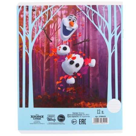 Notebook in a ruler of 12 sheets, 5 types of mix, cover coated cardboard, cold heart-2