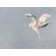 Bed linen 2 joint venture Primaveelle Haiti, size 215x220 cm, 175x210 cm, 70x70 cm - 2 pcs