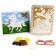 Set for creativity: EVA applique with crumbs and coloring + mask on the elastic band "Live"